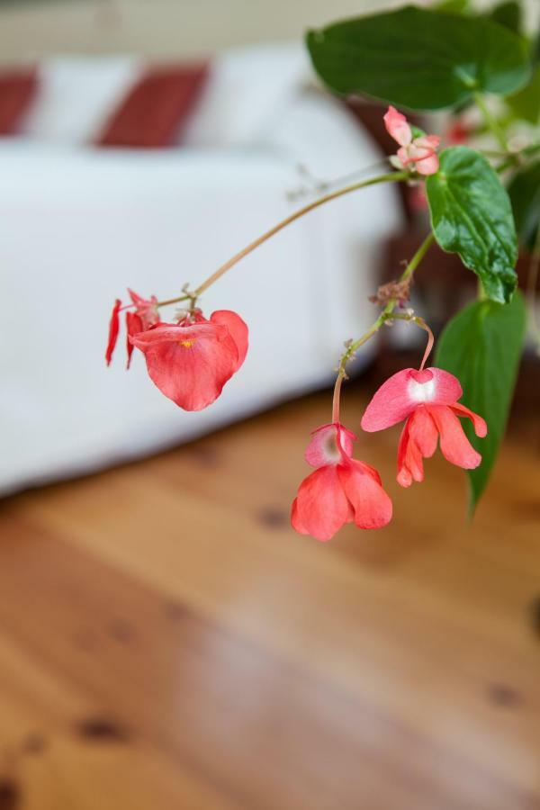 Whitford House And Twin View Barn Bed & Breakfast Addison Dış mekan fotoğraf